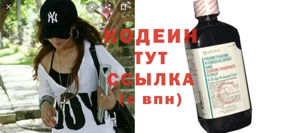 крисы Абаза