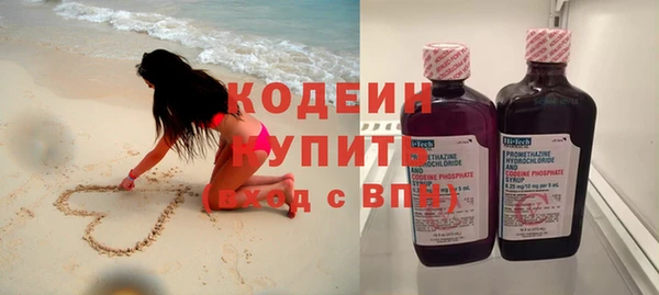 крисы Абаза