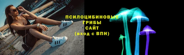 крисы Абаза