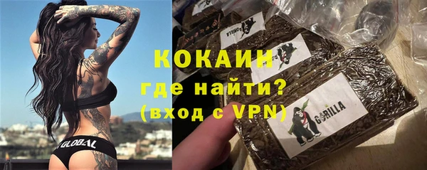 дурь Пересвет