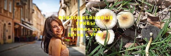 крисы Абаза