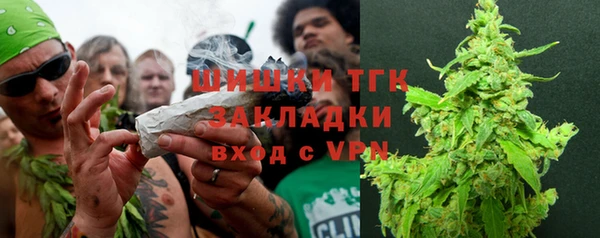 крисы Абаза