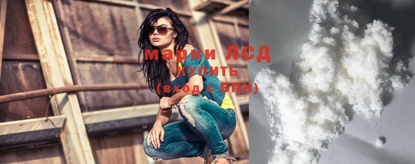 крисы Абаза