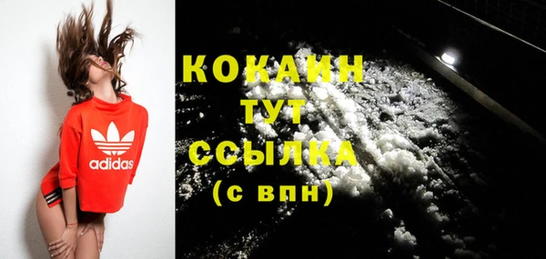 крисы Абаза