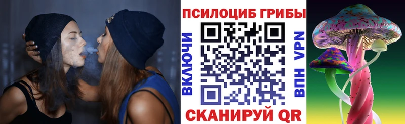 Псилоцибиновые грибы Psilocybine cubensis  Весьегонск 